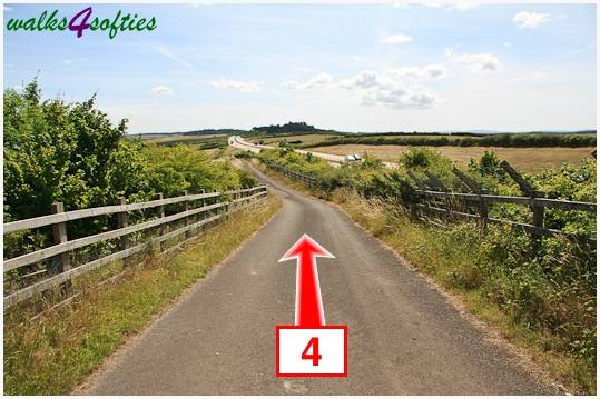 Walk direction photograph: 4 for walk Kite Hill, Tolpuddle, Dorset, South West England.