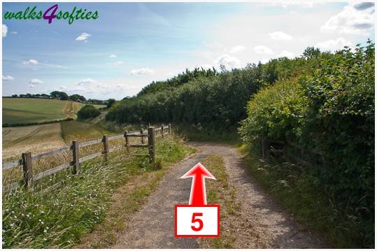 Walking direction photo: 5 for walk Kite Hill, Tolpuddle, Dorset.