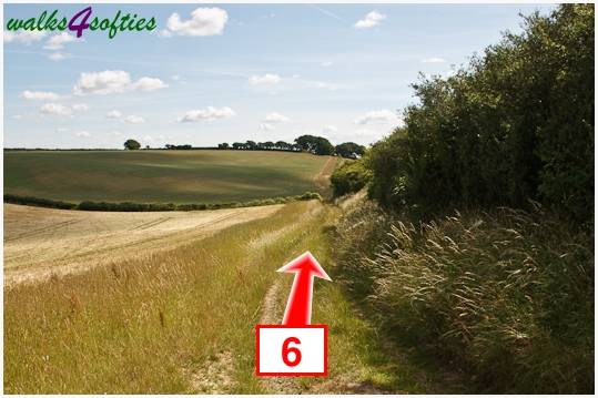Walk direction photograph: 6 for walk Kite Hill, Tolpuddle, Dorset, South West England.
