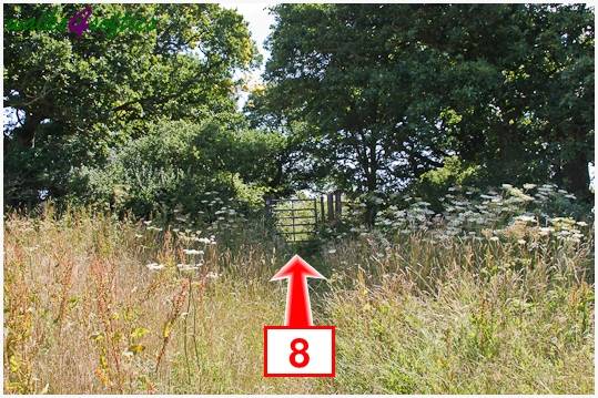 Walk direction photograph: 8 for walk Kite Hill, Tolpuddle, Dorset, South West England.