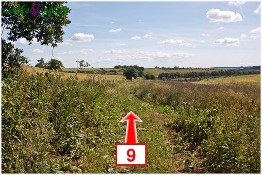 Walking direction photo: 9 for walk Kite Hill, Tolpuddle, Dorset.