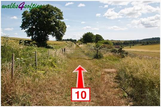 Walk direction photograph: 10 for walk Kite Hill, Tolpuddle, Dorset, South West England.