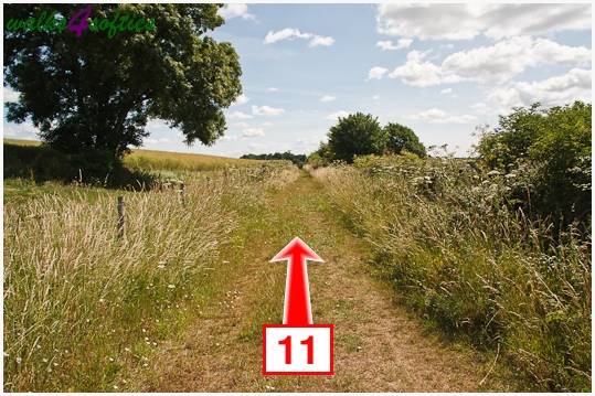 Walking direction photo: 11 for walk Kite Hill, Tolpuddle, Dorset.