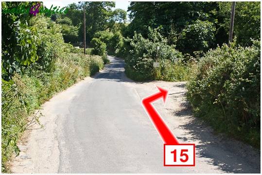 Walking direction photo: 15 for walk Kite Hill, Tolpuddle, Dorset.