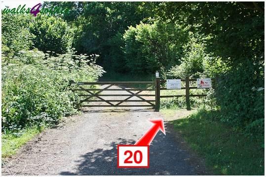 Walk direction photograph: 20 for walk Kite Hill, Tolpuddle, Dorset, South West England.
