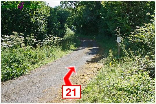 Walking direction photo: 21 for walk Kite Hill, Tolpuddle, Dorset.