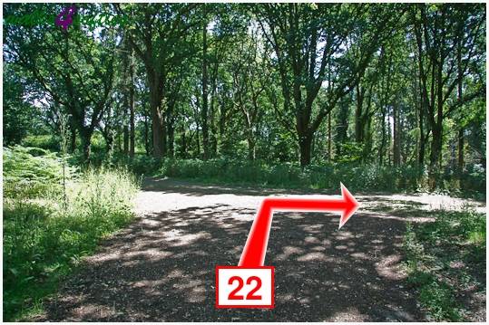 Walk direction photograph: 22 for walk Kite Hill, Tolpuddle, Dorset, South West England.