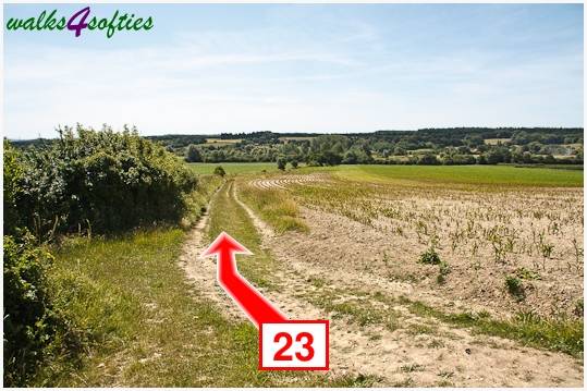 Walking direction photo: 23 for walk Kite Hill, Tolpuddle, Dorset.