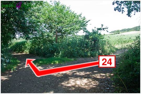 Walk direction photograph: 24 for walk Kite Hill, Tolpuddle, Dorset, South West England.