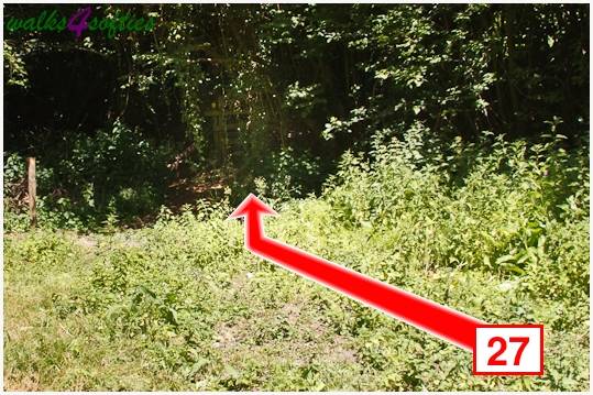 Walking direction photo: 27 for walk Kite Hill, Tolpuddle, Dorset.