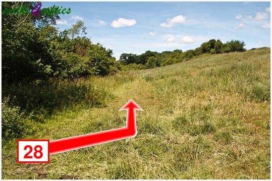 Walk direction photograph: 28 for walk Kite Hill, Tolpuddle, Dorset, South West England.