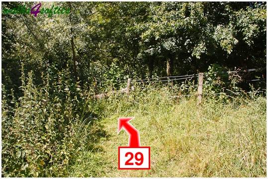Walking direction photo: 29 for walk Kite Hill, Tolpuddle, Dorset.