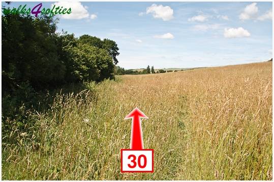 Walk direction photograph: 30 for walk Kite Hill, Tolpuddle, Dorset, South West England.