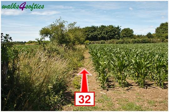 Walk direction photograph: 32 for walk Kite Hill, Tolpuddle, Dorset, South West England.