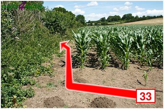 Walking direction photo: 33 for walk Kite Hill, Tolpuddle, Dorset.