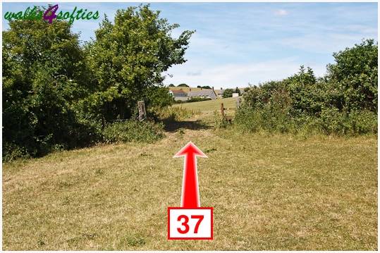 Walking direction photo: 37 for walk Kite Hill, Tolpuddle, Dorset.