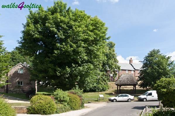 Picture, Photo, View of Tolpuddle, Dorset