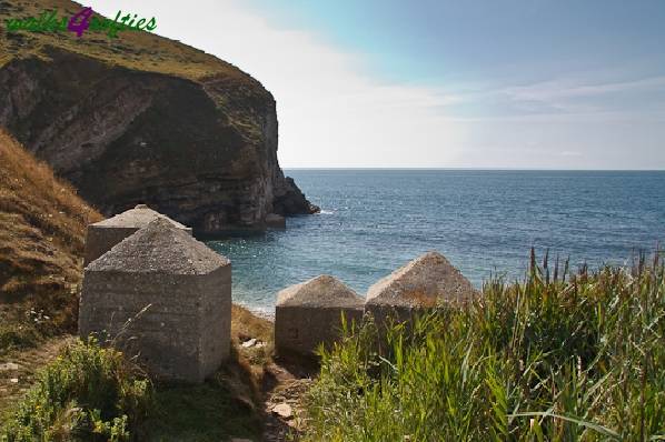 Picture, Photo, View of Tyneham - Range Walks, Dorset