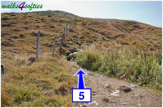 Walking direction photo: 5 for walk Gold Down, Tyneham - Range Walks, Dorset, Jurassic Coast.