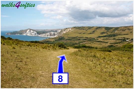 Walk direction photograph: 8 for walk Gold Down, Tyneham - Range Walks, Dorset, South West England.