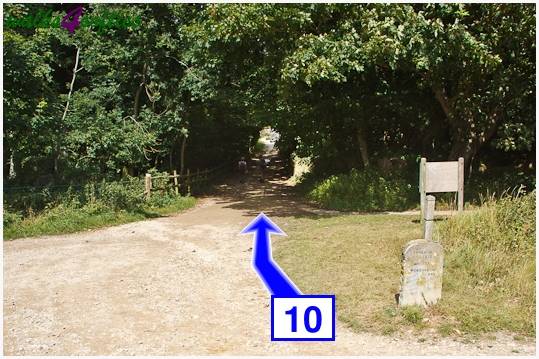 Walk direction photograph: 10 for walk Gold Down, Tyneham - Range Walks, Dorset, South West England.