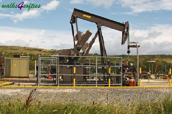 Picture, Photo, View of Tyneham - Range Walks, Dorset