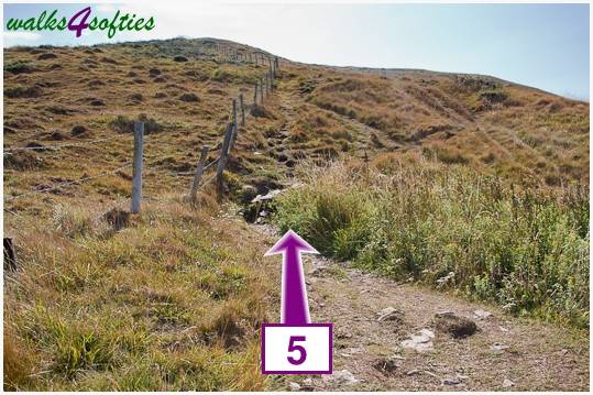 Walking direction photo: 5 for walk Nodding Donkey, Tyneham - Range Walks, Dorset, Jurassic Coast.