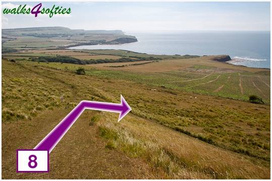 Walk direction photograph: 8 for walk Nodding Donkey, Tyneham - Range Walks, Dorset, South West England.