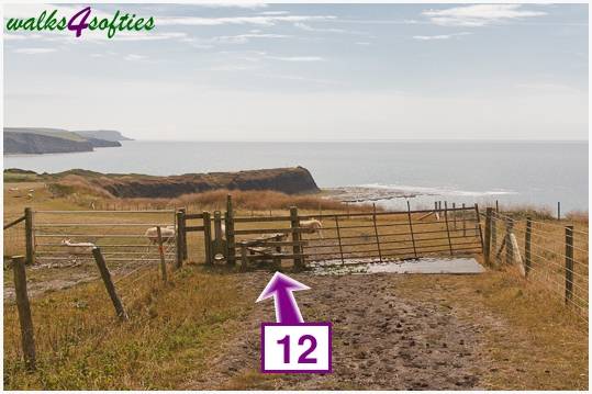 Walk direction photograph: 12 for walk Nodding Donkey, Tyneham - Range Walks, Dorset, South West England.