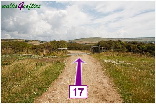 Walking direction photo: 17 for walk Nodding Donkey, Tyneham - Range Walks, Dorset, Jurassic Coast.