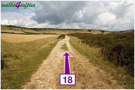 Walk direction photograph: 18 for walk Nodding Donkey, Tyneham - Range Walks, Dorset, South West England.