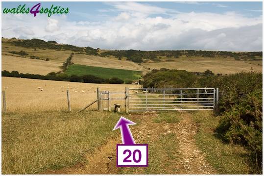 Walk direction photograph: 20 for walk Nodding Donkey, Tyneham - Range Walks, Dorset, South West England.