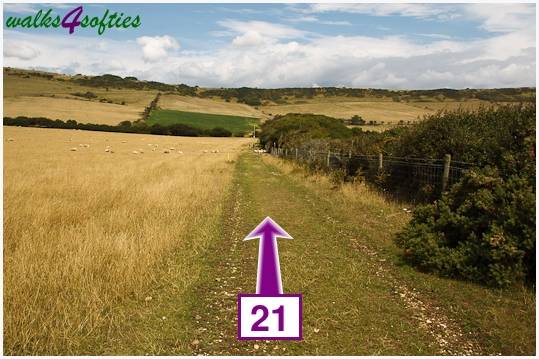 Walking direction photo: 21 for walk Nodding Donkey, Tyneham - Range Walks, Dorset, Jurassic Coast.