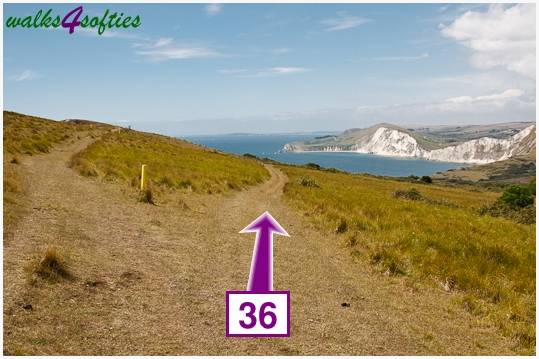Walk direction photograph: 36 for walk Nodding Donkey, Tyneham - Range Walks, Dorset, South West England.