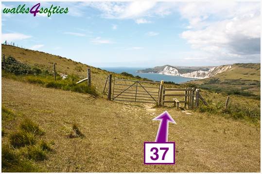 Walking direction photo: 37 for walk Nodding Donkey, Tyneham - Range Walks, Dorset, Jurassic Coast.