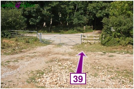 Walking direction photo: 39 for walk Nodding Donkey, Tyneham - Range Walks, Dorset, Jurassic Coast.