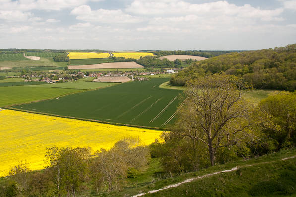 Picture, Photo, View of Shroton, Dorset