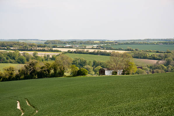Picture, Photo, View of Shroton, Dorset