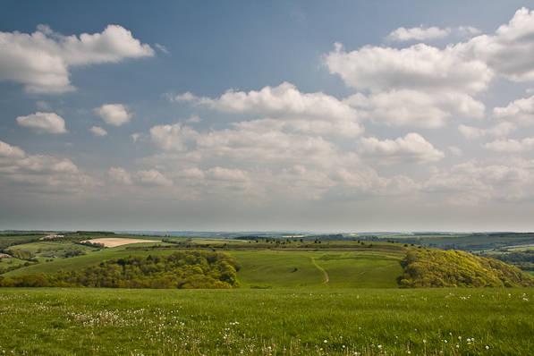 Picture, Photo, View of Shroton, Dorset
