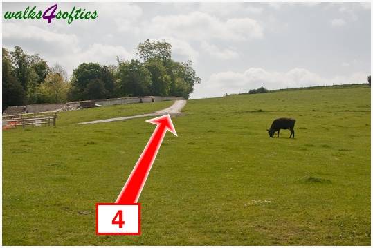 Walk direction photograph: 4 for walk Hambledon Hill, Shroton, Dorset, South West England.