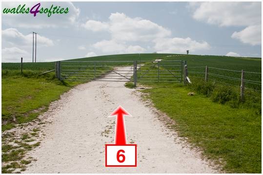 Walk direction photograph: 6 for walk Hambledon Hill, Shroton, Dorset, South West England.
