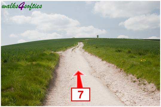 Walking direction photo: 7 for walk Hambledon Hill, Shroton, Dorset.