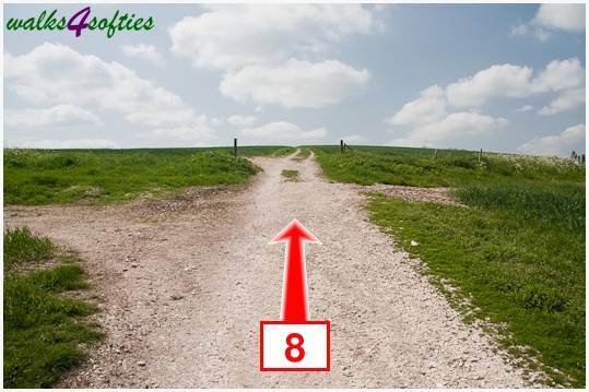 Walk direction photograph: 8 for walk Hambledon Hill, Shroton, Dorset, South West England.