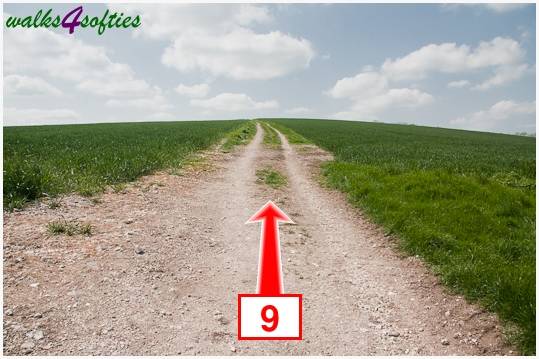 Walking direction photo: 9 for walk Hambledon Hill, Shroton, Dorset.