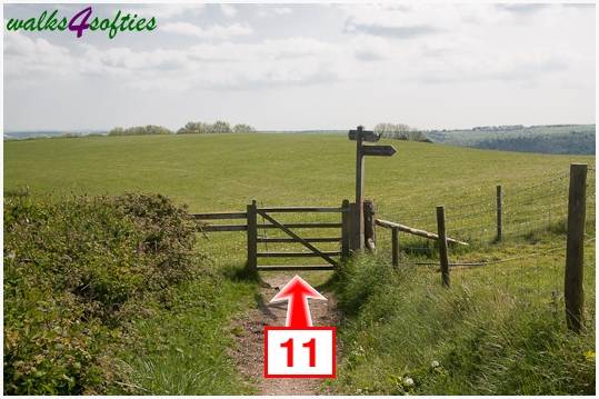 Walking direction photo: 11 for walk Hambledon Hill, Shroton, Dorset.