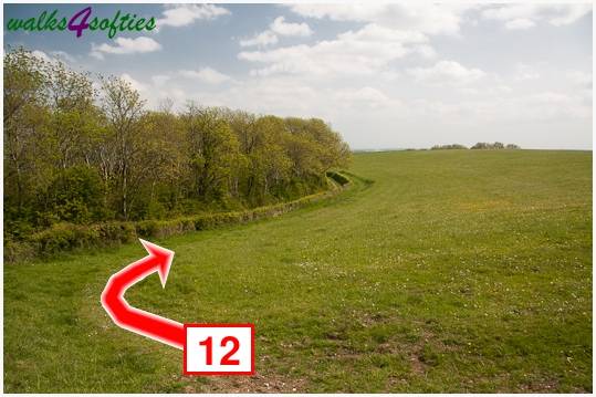 Walk direction photograph: 12 for walk Hambledon Hill, Shroton, Dorset, South West England.