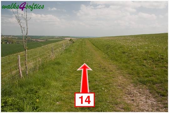 Walk direction photograph: 14 for walk Hambledon Hill, Shroton, Dorset, South West England.