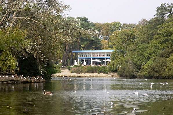 Picture, Photo, View of Poole, Dorset