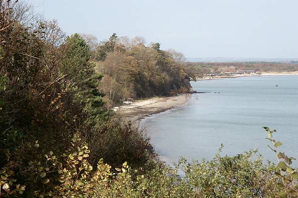 Picture, Photo, View of Studland, Dorset