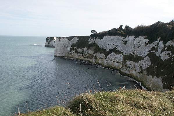 Picture, Photo, View of Studland, Dorset